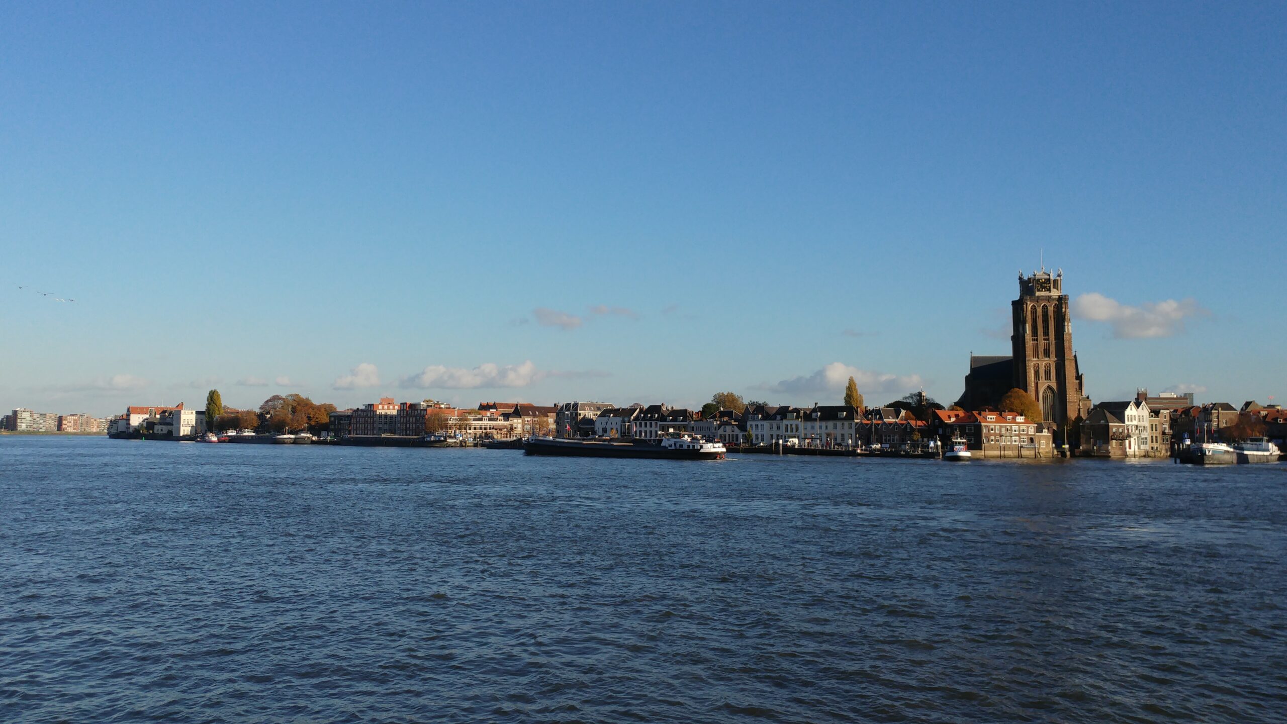 CoronaLoket Dordrecht achtergrond
